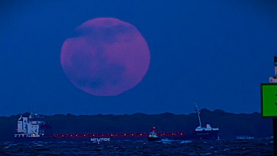 April 2025 Pink Moon Horoscope: How the Full Moon Impacts Your Zodiac Sign
